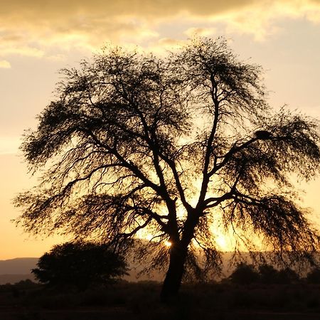 Andes Nomads Desert Camp & Lodge سان بيدرو دي أتاكاما المظهر الخارجي الصورة