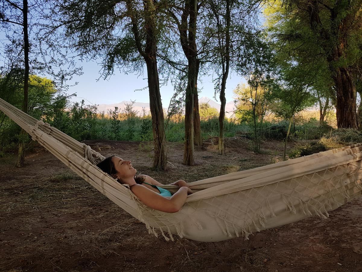 Andes Nomads Desert Camp & Lodge سان بيدرو دي أتاكاما المظهر الخارجي الصورة