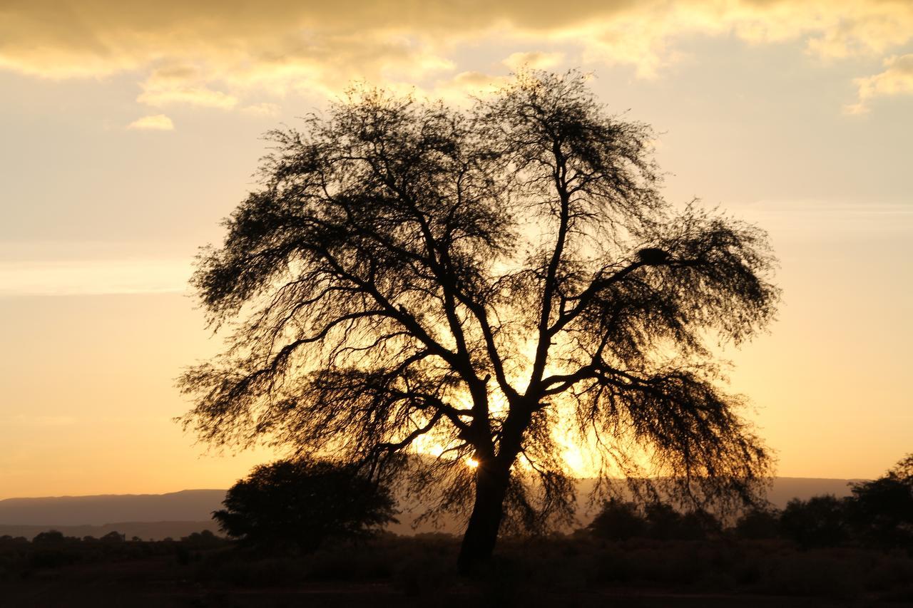 Andes Nomads Desert Camp & Lodge سان بيدرو دي أتاكاما المظهر الخارجي الصورة
