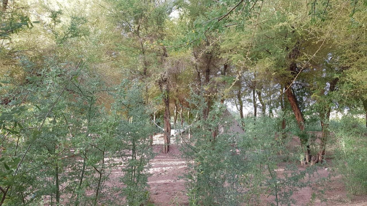 Andes Nomads Desert Camp & Lodge سان بيدرو دي أتاكاما المظهر الخارجي الصورة